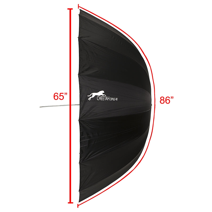 Cheetahstand DP-65W Size and Dimensions
