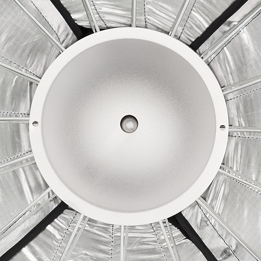 Cheetahstand Reflector Plate Front View Installed