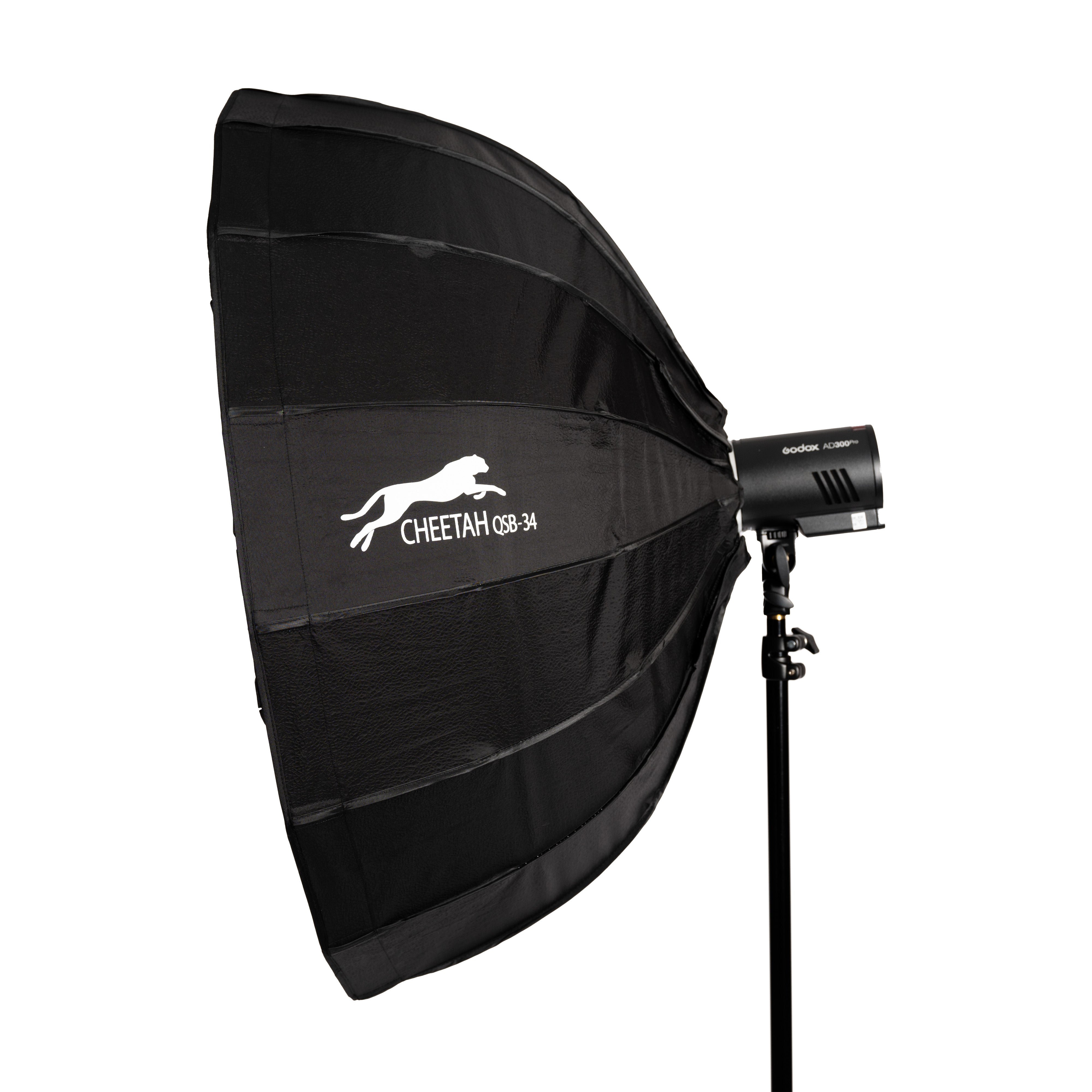 AD300 Wireless Strobe Creator Kit with QSB-34 Softbox and C10 Auto Stand