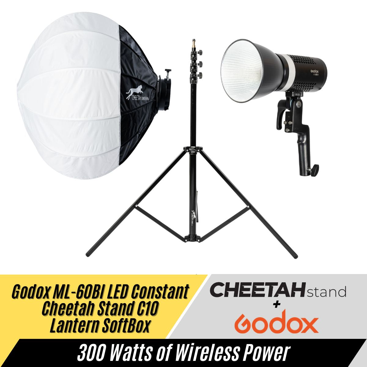 Godox ML60Bi + Cheetah Stand Lantern + C10