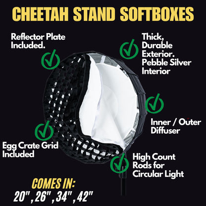 Westcott FJ400II + Cheetah Stand QSB-34 + C10