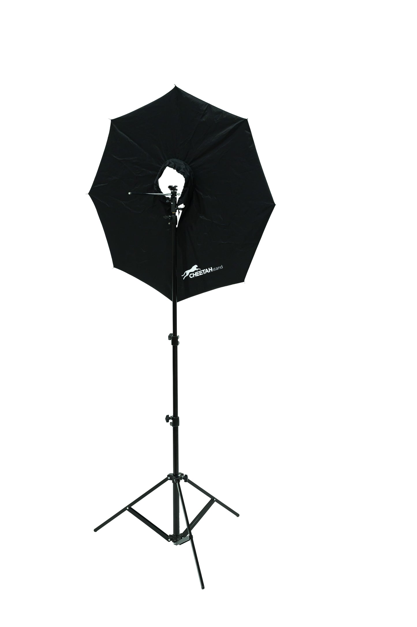 Westcott FJ80-II + Cheetah Stand 36" Umbrella and Mount + C8