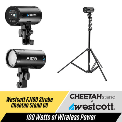 Westcott FJ100 + Cheetah Stand C8