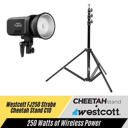 Westcott FJ250 + Cheetah Stand C10