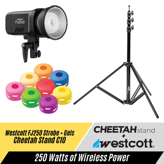 Westcott FJ250 + FlexiGels Vivid + Cheetah Stand C10