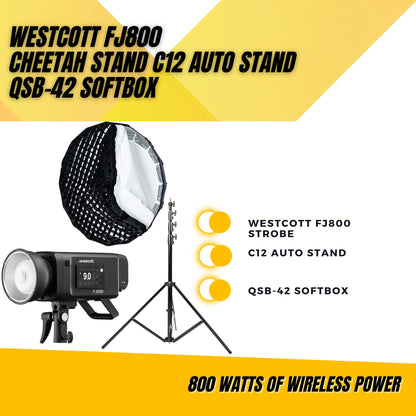 Westcott FJ800 + Cheetah Stand QSB-42 + C12